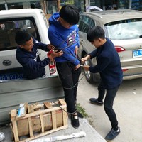 邹根元