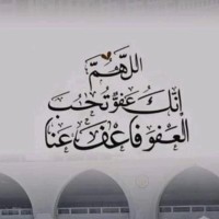 محمد الحناوي