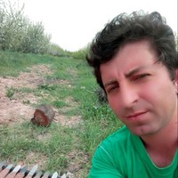 Amir Farhangi