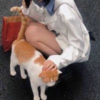 李红姣