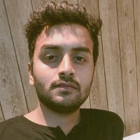 sayed Danish