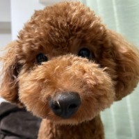 Kosuke Kitamura