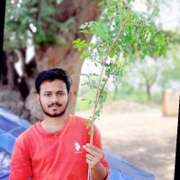 Prasad Royal