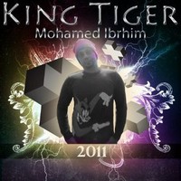Mohamed Ibrahim