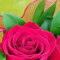Sunil Sahoo Sunilsahoo