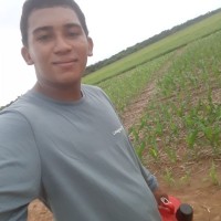 Cleuson Aroche Lopes