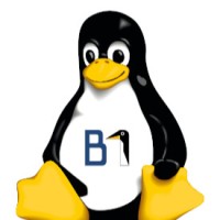 B1 Systems