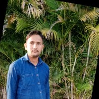 Dinesh Kumar Patel