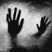 Bruno Taddei TADDEI Bruno