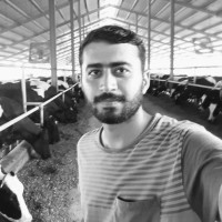 Muneeb Mustafa
