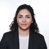 Negin A. Hesam Zadeh