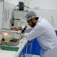 Rafaqat Ali