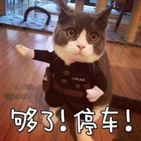 王友俊