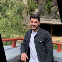 Hamza Palanijafi