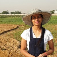 Vaishavi Sinha Bhasin