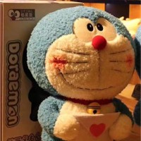赵文文