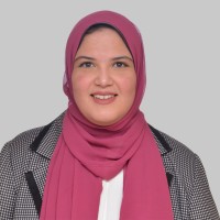 Lobna A. Nasr