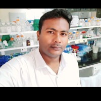 Digvijay Singh
