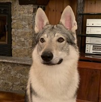 Luca S.