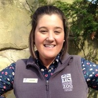 Jen Wilson