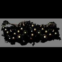 Deniz Tas Hoti