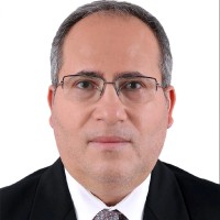 Al Sayed Mahmood Bayoumy