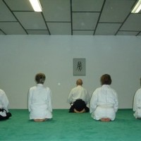 albi lézards martiaux