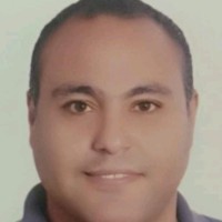 Salah Mekawey