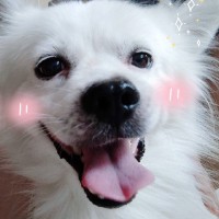 郑静宜