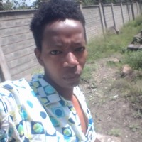 Bob Junior