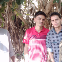 shailesh damor