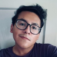 Luis Mejia-Jimenez