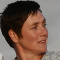 Aly Kooi