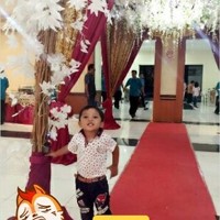 M Alkahfi