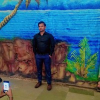 Md Tauqueer Alam
