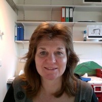 Astrid Bosma