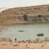 مروه فتال