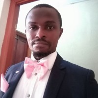 kingsley obinna opara