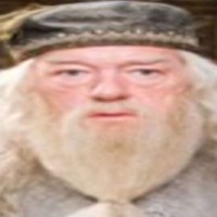 Albus Dumbledoor