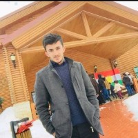 Nizar Ali