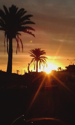 Florencia Condon