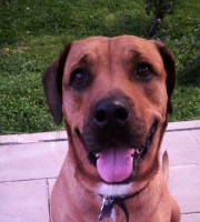 Si̇nem Bulut