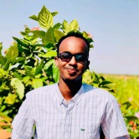 Zakariye Abdirashiid