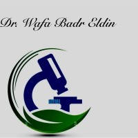 Dr. Wafa Badr Eldin