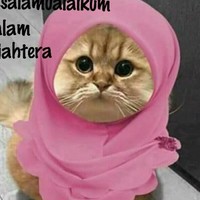 Shahrul Nizam
