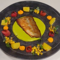 José Luís Maldonado Saavedra