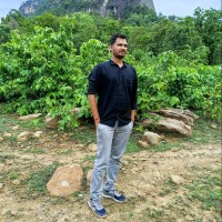 Ravi Kant