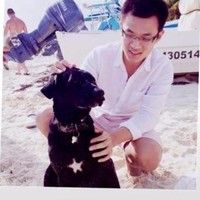 wenhao zhu