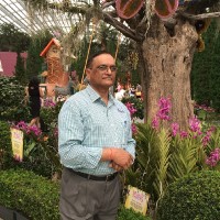 Singh Onkar
