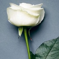 谭梓晴